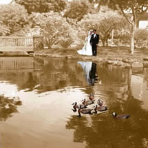 fujita Wedding Album - Page #16